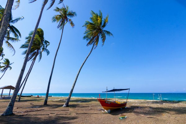 Comment organiser une visite des sites historiques de la guerre de Sécession aux États-Unis?